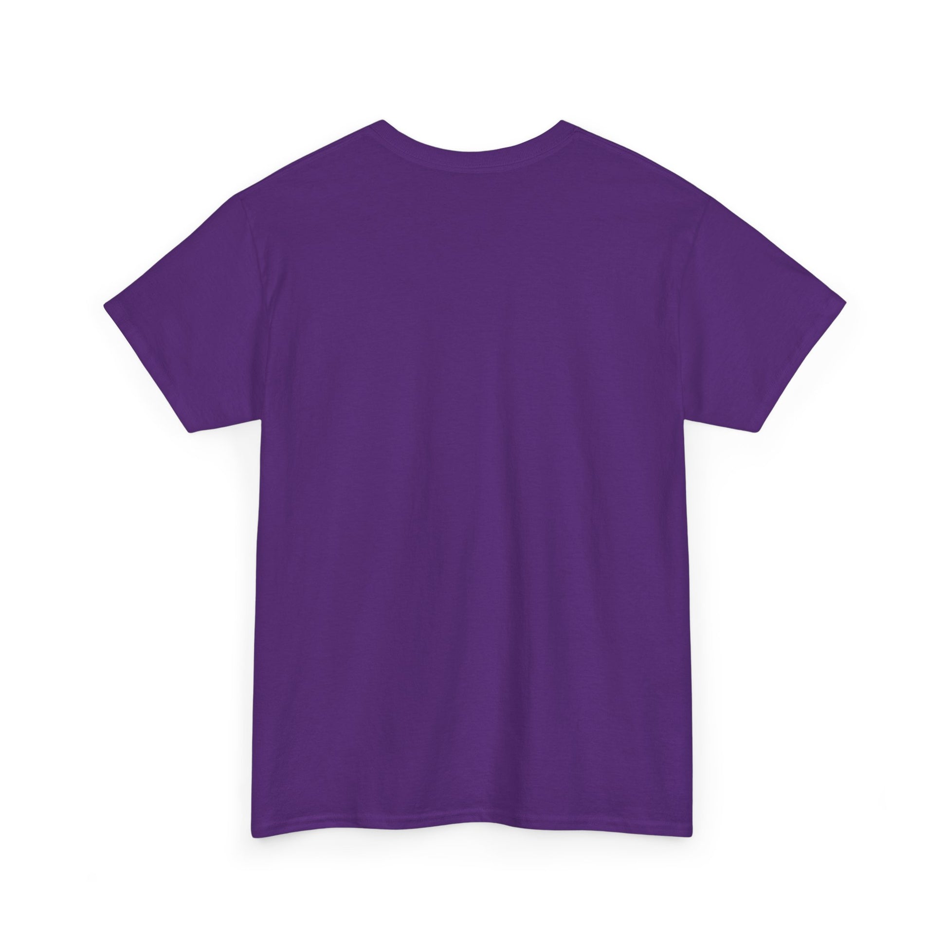 Mascot Collection - Unisex Heavy Cotton Tee - 404 Brainy